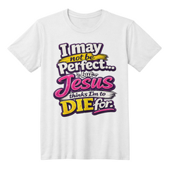 I May Not Be Perfect Fun